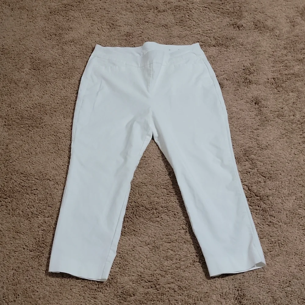 Capris - Picture 3 of 10